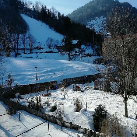 Ferienwohnung Elsa Immenstadt im Allgaeu Luaran gambar