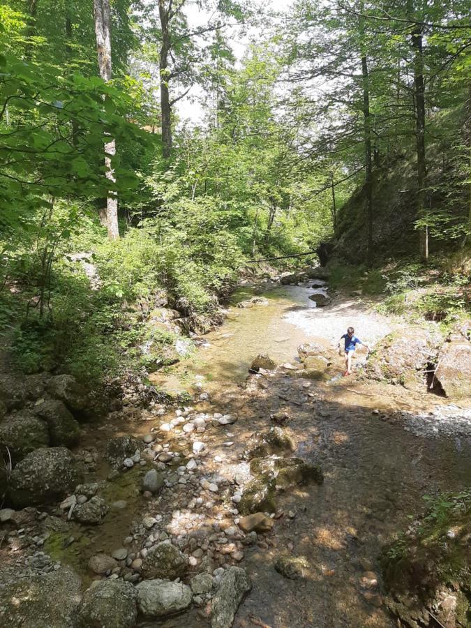 Ferienwohnung Elsa Immenstadt im Allgaeu Luaran gambar