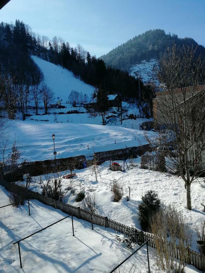 Ferienwohnung Elsa Immenstadt im Allgaeu Luaran gambar